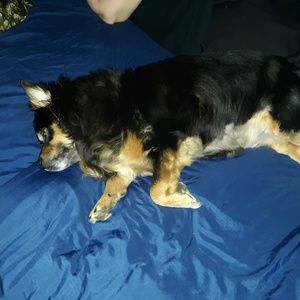 Meet your Posher, Steven